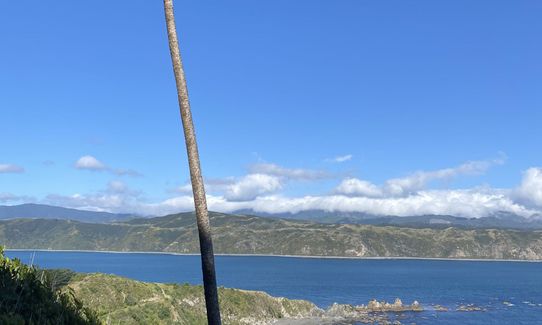  Ataturk to Pass Of Branda Loop, Wellington