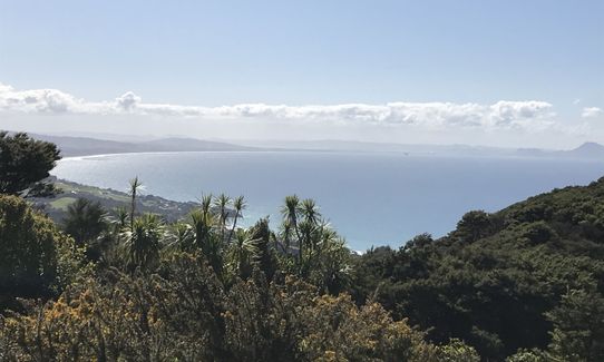 Langs View Track, Northland