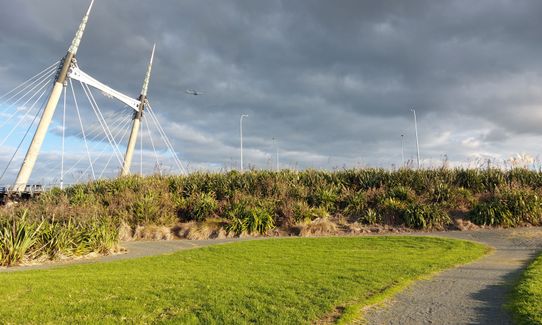 Bazza C Trail Happy, Auckland