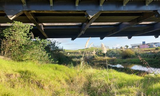 Bazza C Trail Happy, Auckland