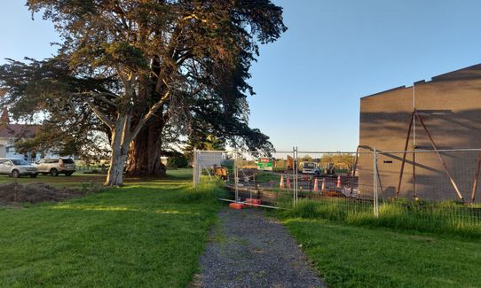 Bazza C Trail Happy, Auckland