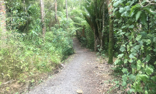 Mangemangeroa Track, Auckland