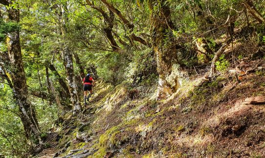 Bealey - Avalanche Traverse, Canterbury