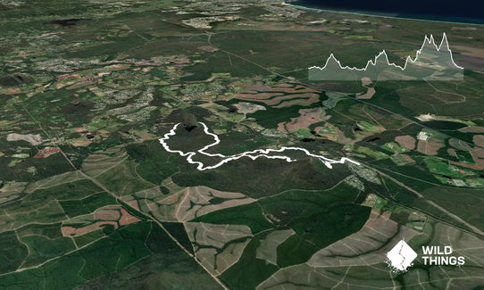 Beerburrum - 'Barebottom', Glasshouse Mountains QLD, Queensland