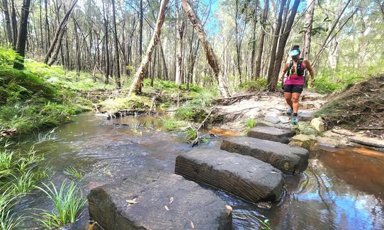 Beerburrum - 'Barebottom', Glasshouse Mountains QLD, Queensland