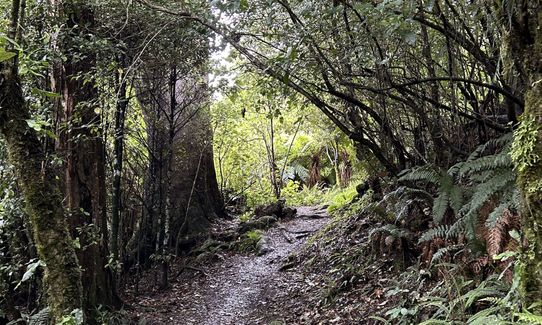 Bell Hill Loop, Hawkes Bay