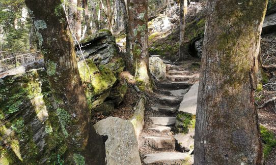 Ben Lomond via Tiki Trail, Otago