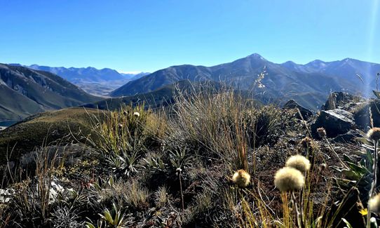 Ben More Loop, Canterbury