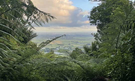 Best of the Haks Northern End, Waikato