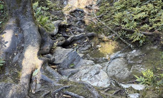Blue Pools - Gillespie Pass Loop, Otago