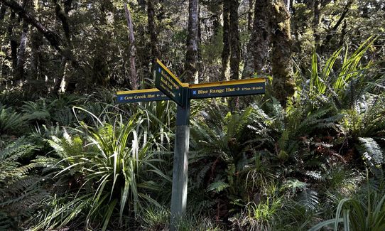 Blue Range Hut, Wellington