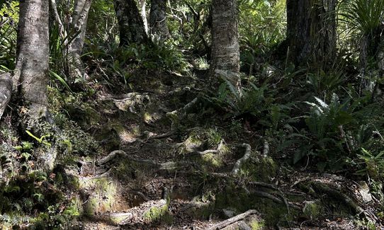 Blue Range Hut, Wellington