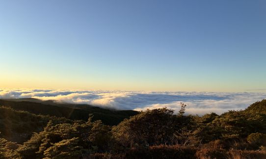 Blyth Alpine Loop, Manawatu - Wanganui