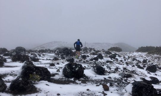 Blyth Alpine Loop, Manawatu - Wanganui