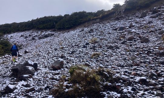 Blyth Alpine Loop, Manawatu - Wanganui