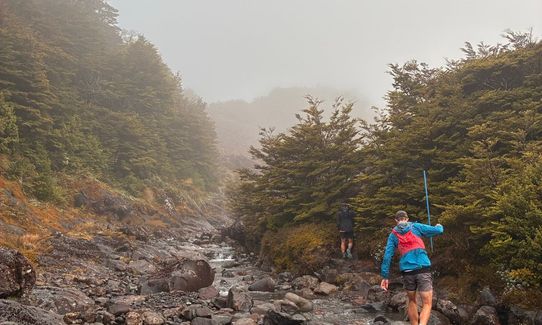 Blyth Alpine Loop, Manawatu - Wanganui