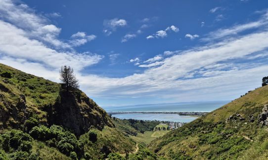 Boulder Dash, Canterbury