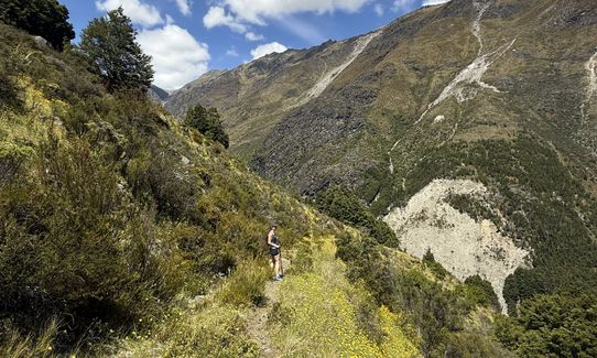 Boundary Creek Track, Otago