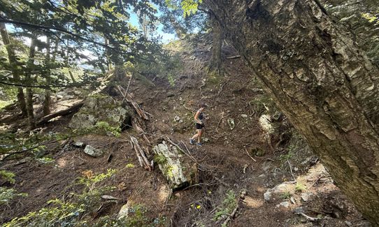 Boundary Creek Track, Otago