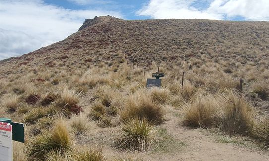 Breast Hill - Timaru Creek Loop, Otago