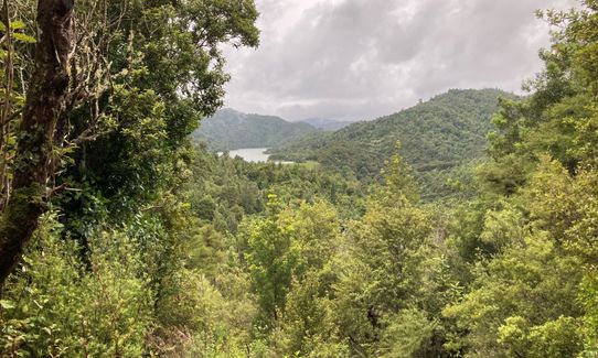 Hunua Hillbilly Marathon, Auckland