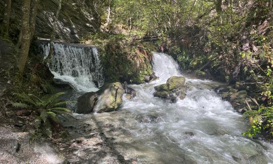 Bush Creek Banger and The Steiger!, Otago