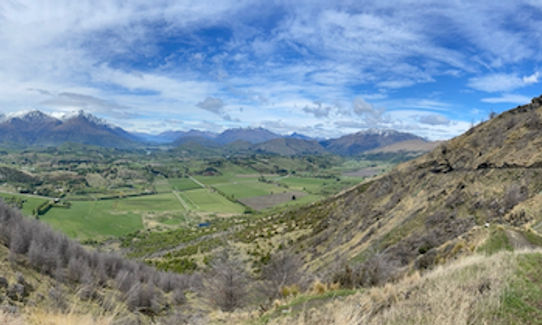 Bush Creek Banger and The Steiger!, Otago