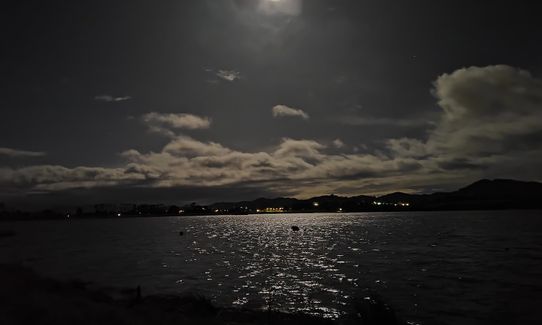 Bush, Gravel & Bridges: The Lake Puketirini Loop, Waikato