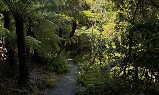 Butterfly Creek Loop, Wellington