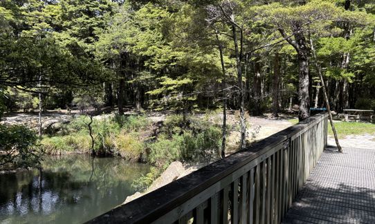 Butterfly Creek Loop, Wellington