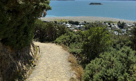 Butterfly Creek Loop, Wellington