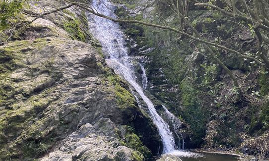 Seton Nossiter Waterfall & Lookout, Wellington