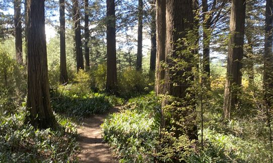 Call me Herbert, Otago