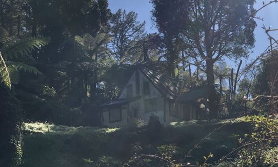 Can you Karanga-hack it, Waikato