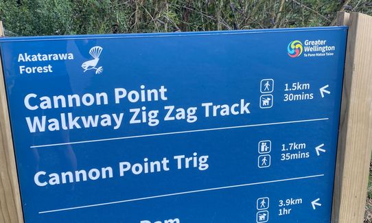 Cannon Point Trig via Zig Zag, Wellington