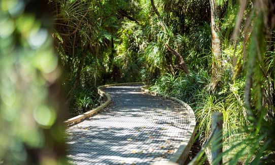 Carters Beach to Kawatiri River, West Coast