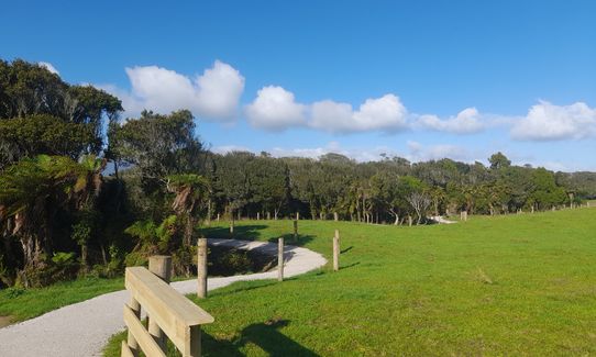 Carters Beach to Kawatiri River, West Coast