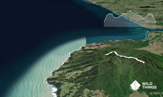 Chain Reaction, Waikato