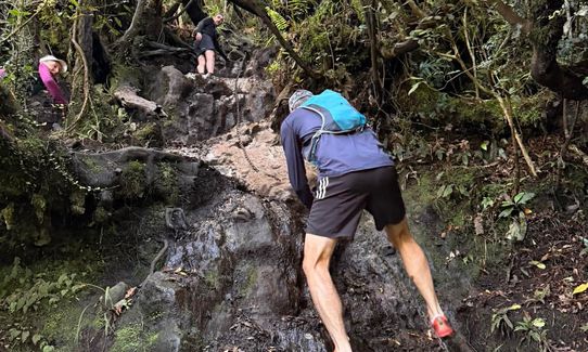 Chain Reaction, Waikato