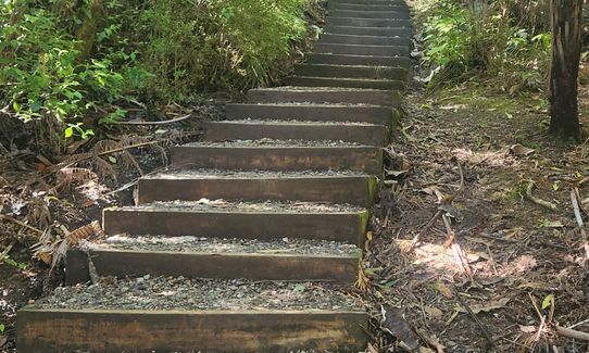 Clevedon Reserve Stairway to Heaven, Auckland