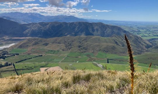 Coal Hill , Canterbury