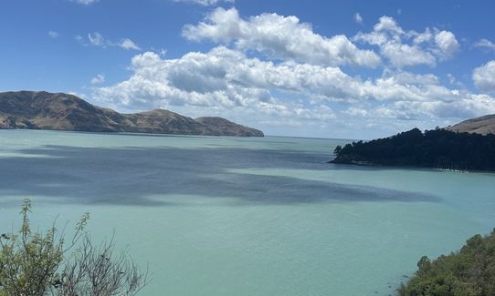 Coastal Cliff Candy, Canterbury