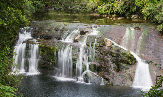 Cooling Off at Coal Creek, West Coast