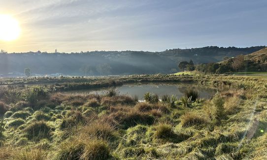 Cracroft Wetlands, Canterbury