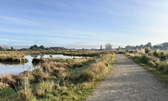 Cracroft Wetlands, Canterbury