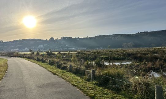 Cracroft Wetlands, Canterbury