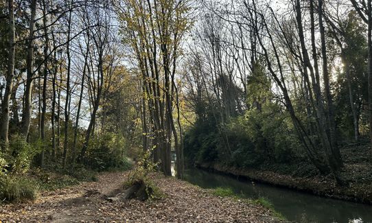 Cracroft Wetlands, Canterbury