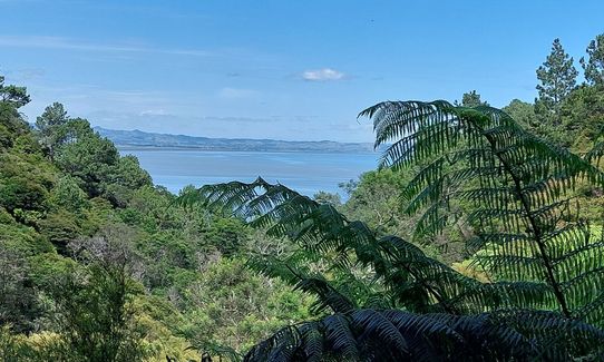 Crosbies Settlement , Waikato
