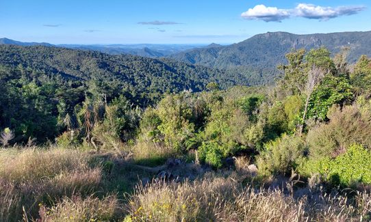 Crosbies Settlement , Waikato