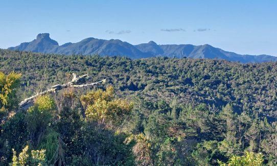Crosbies Settlement , Waikato